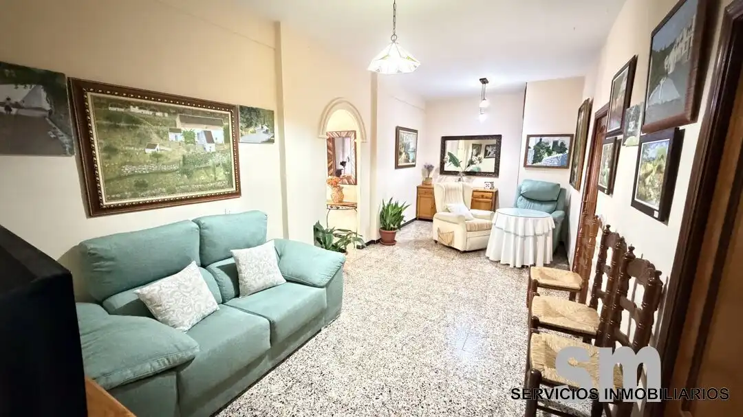 Sala d'estar de Casa o xalet en venda en Ubrique amb Terrassa