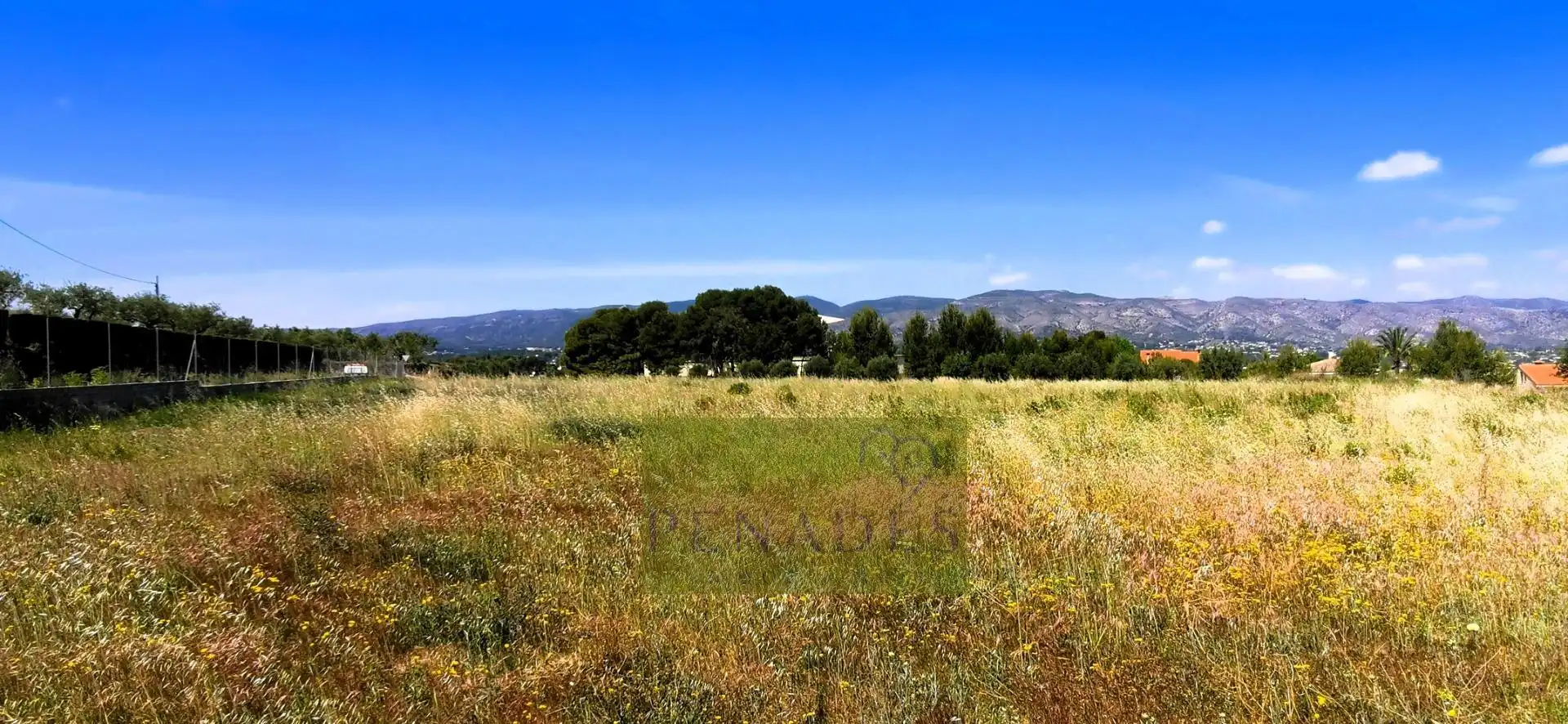 Terrain rustique à vendre à Centro, imagen 5