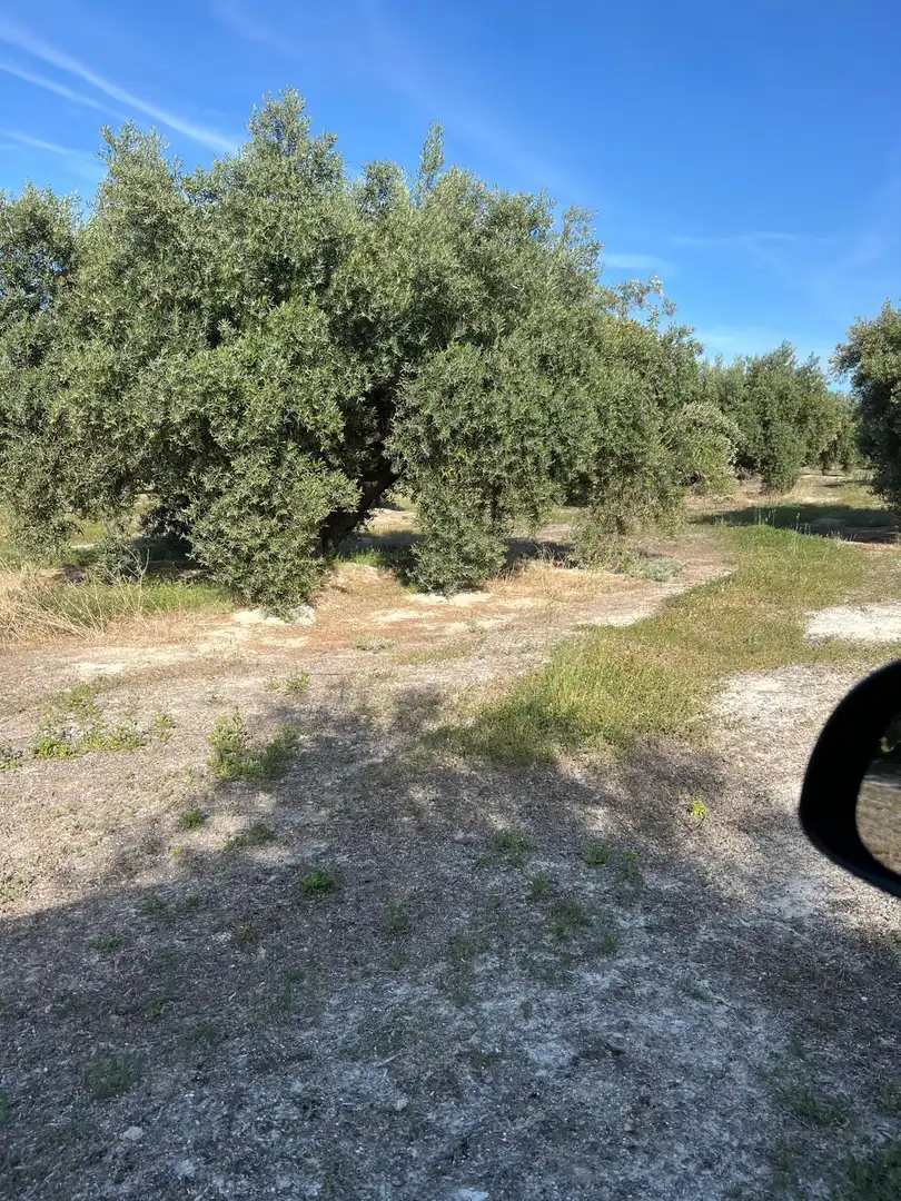 Terrenys i solars en venda a Fuente-Tójar, imagen 2