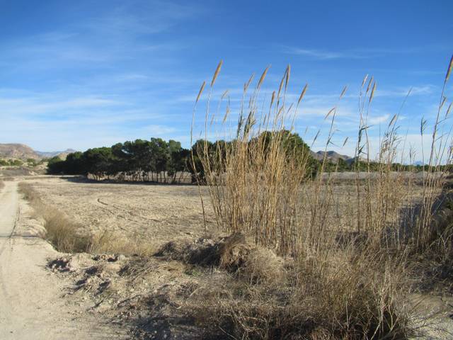 Terreno residencial en Venta en Rebolledo