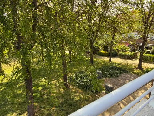 Detached homes for sale in Torreblanca