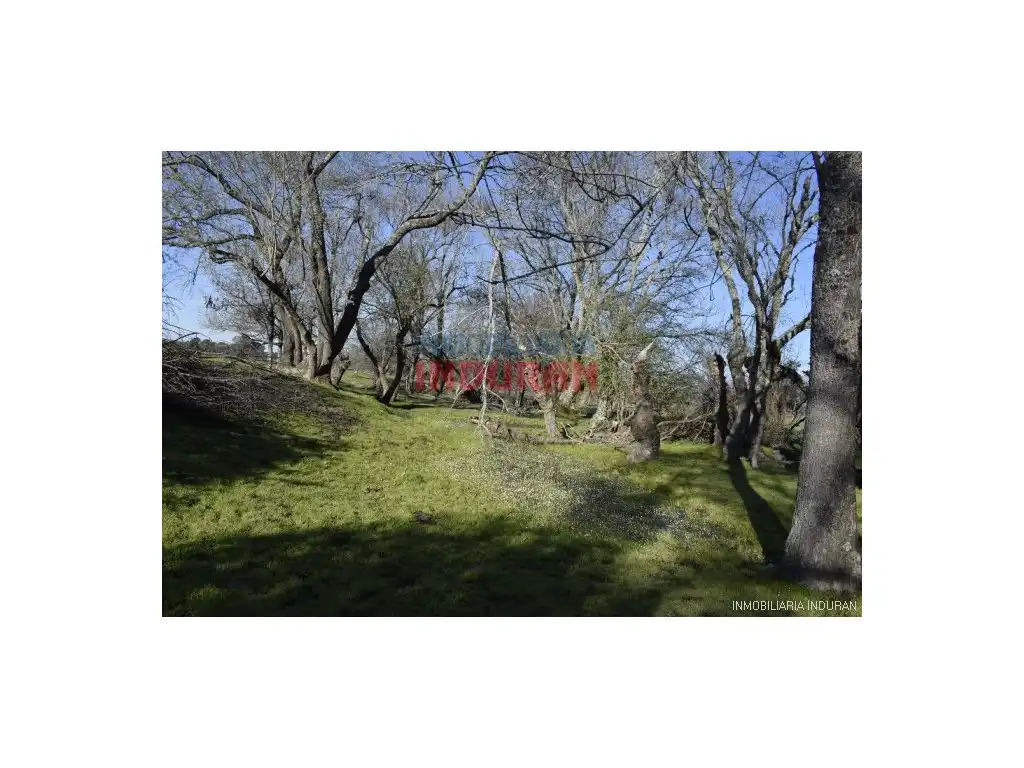 Finca rústica en venta en Las Ventas de San Julián