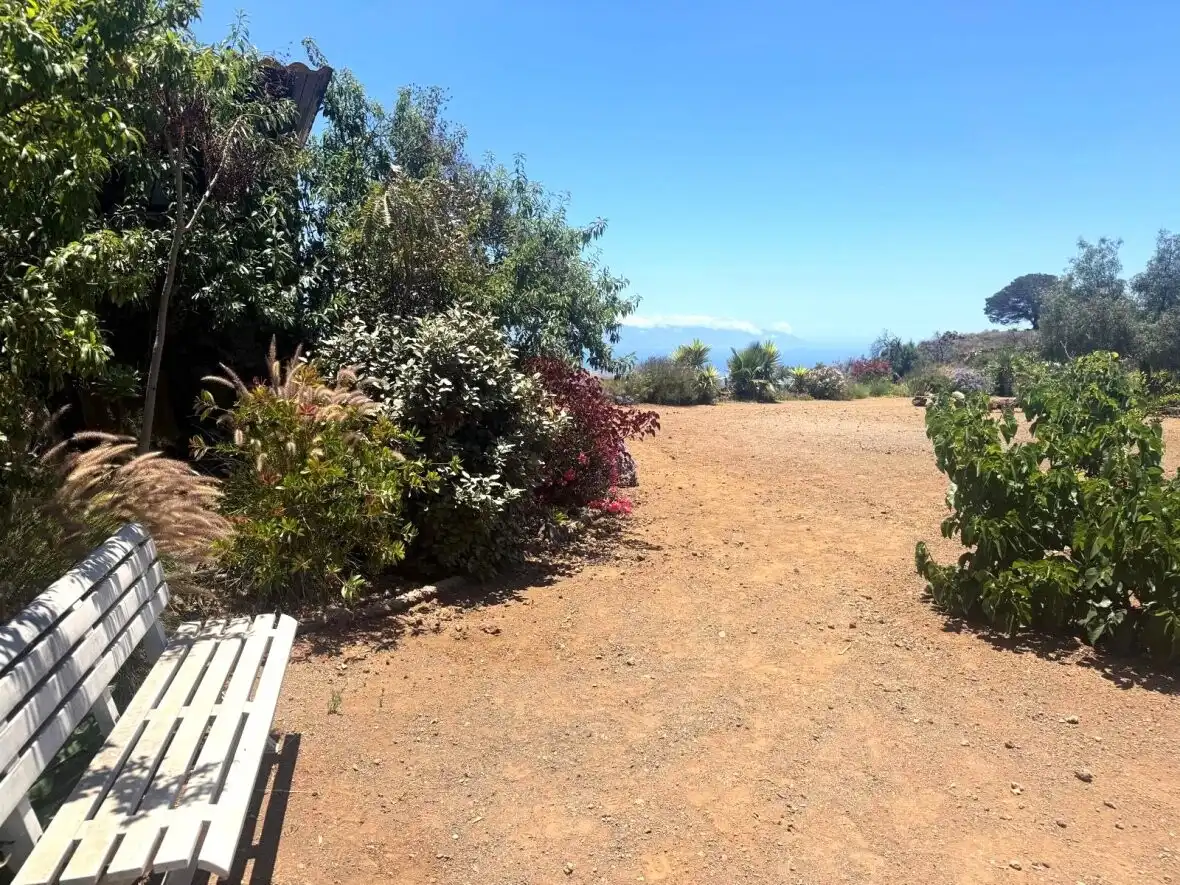 Jardín de Finca rústica en venta en Guía de Isora con Terraza