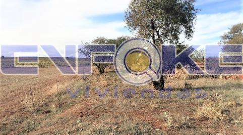 Foto 5 de Terreny en venda a Calle Toledo, Quero, Toledo