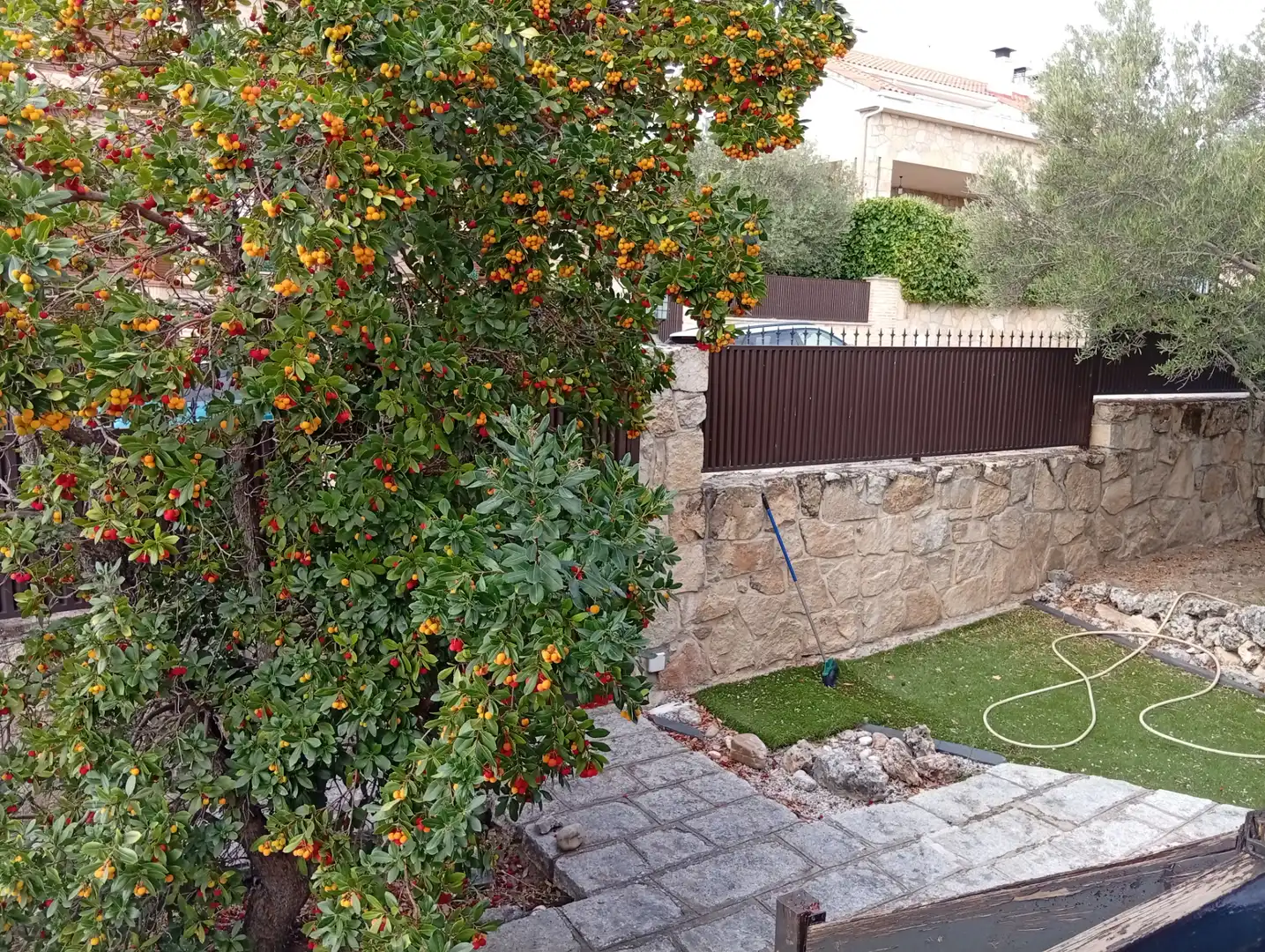 Jardí de Casa o xalet en venda en Guadalix de la Sierra amb Jardí privat, Terrassa i Traster