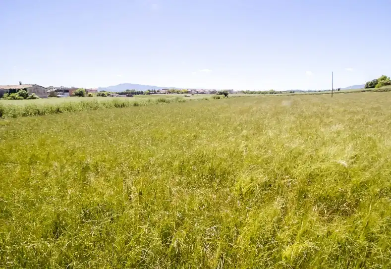 Rustikales Grundstück zum Verkauf in Sc Serra de Senferm, imagen 13