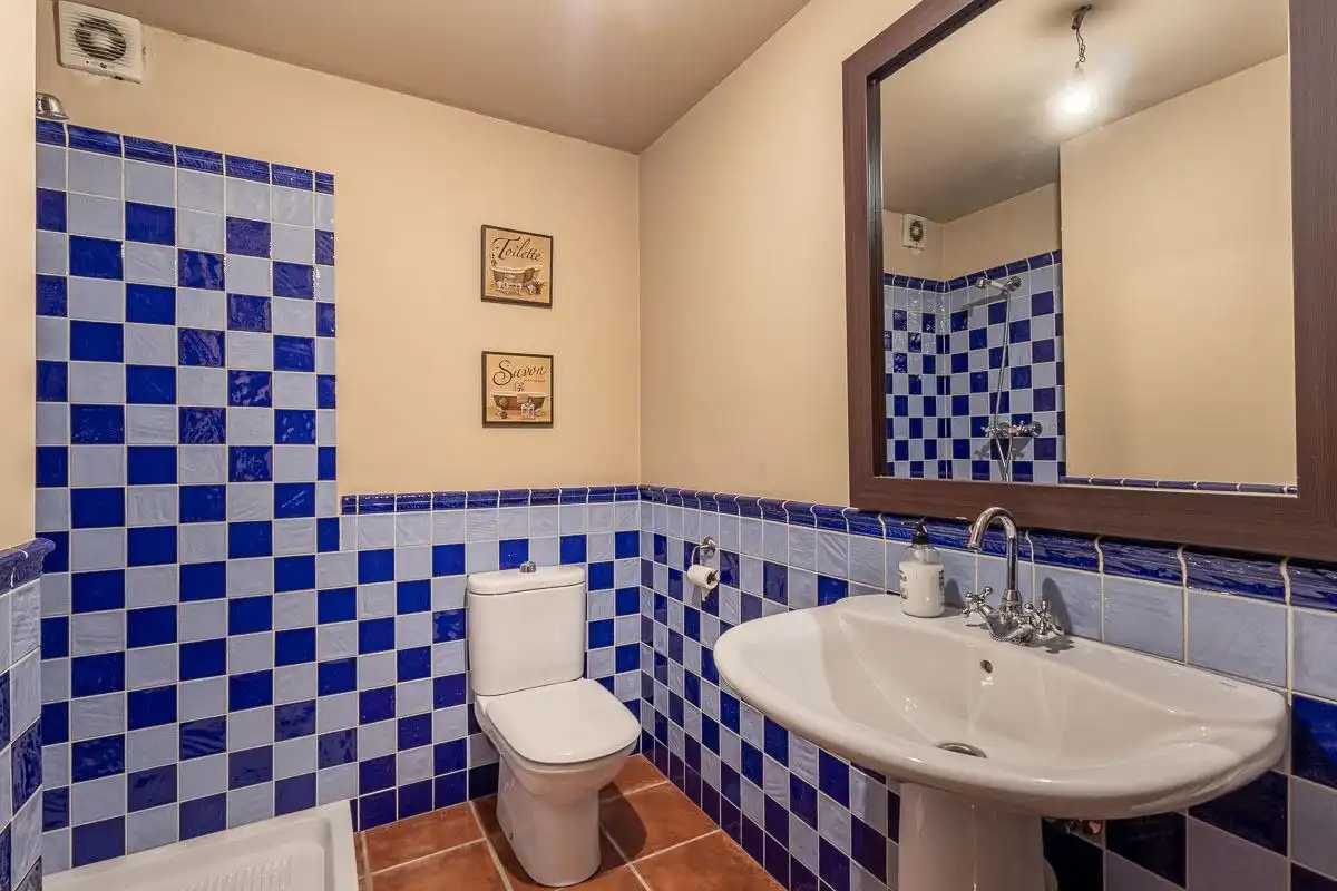 Villa mit Pool zum Verkauf in Calle DE LAS CAÑAS, imagen 28