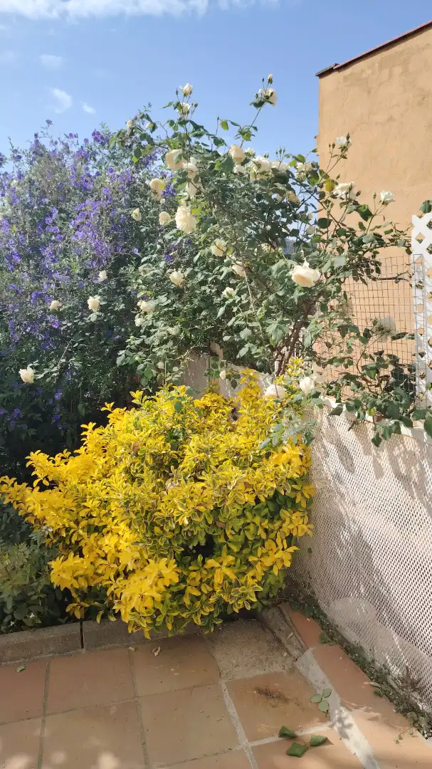 Garden of Houses for sale in Argentona  with Air Conditioner, Heating and Private garden