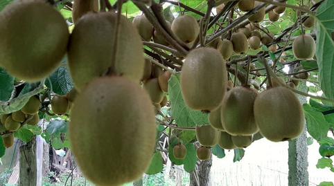 Photo 4 of Residential for sale in N/a, Cudillero, Asturias