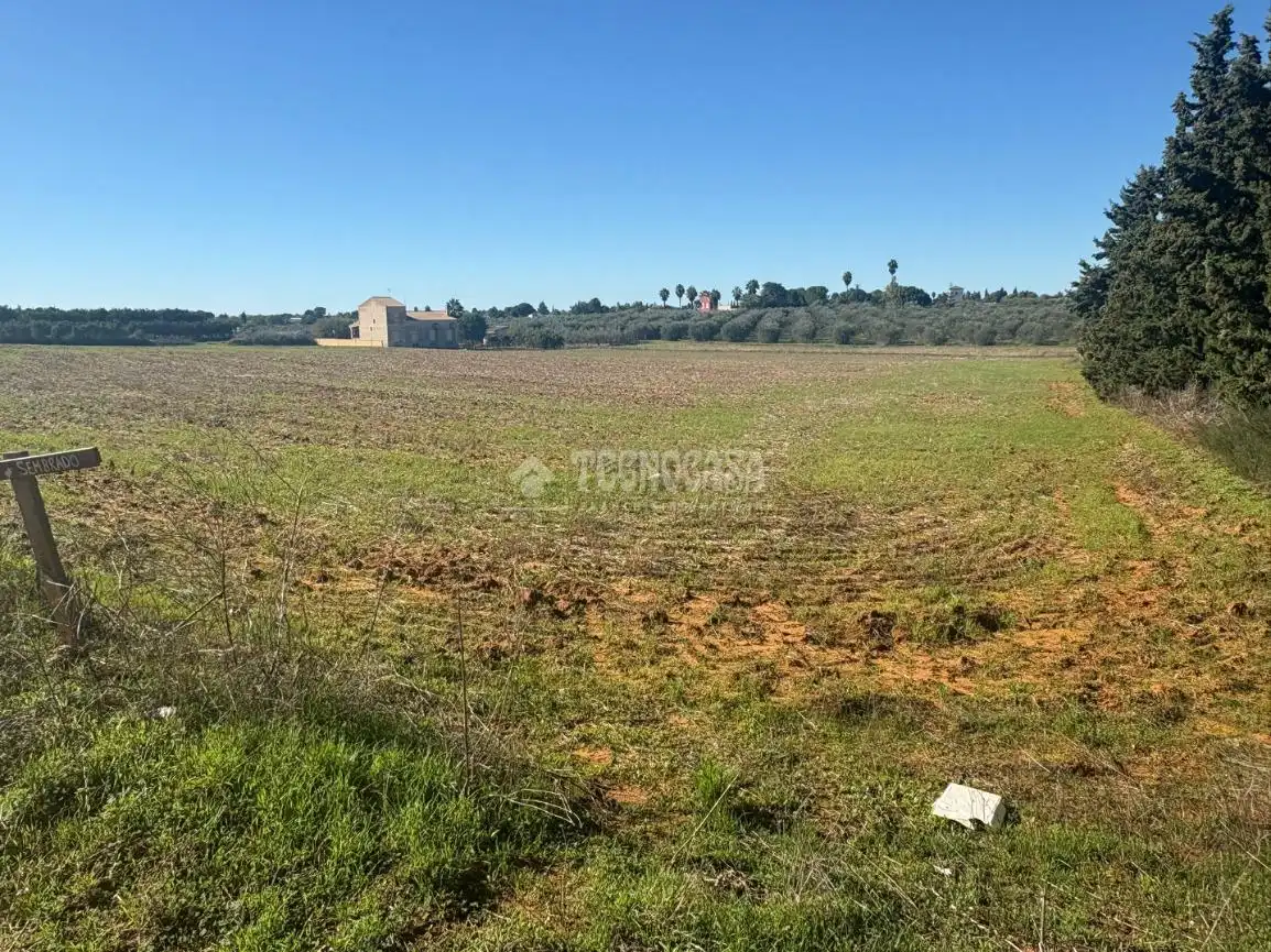 Terreni e lotti in vendita a Camino sanlucar la mayor olivares, imagen 4
