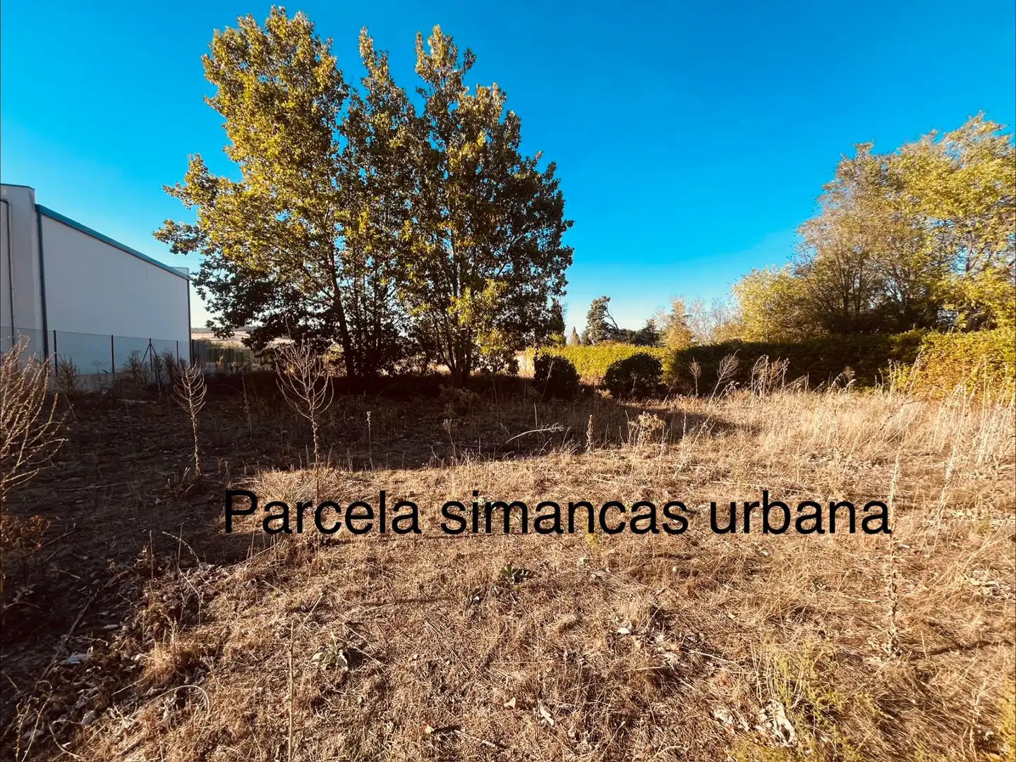 Terreno residenziale in vendita a Camino Pesqueruela 9