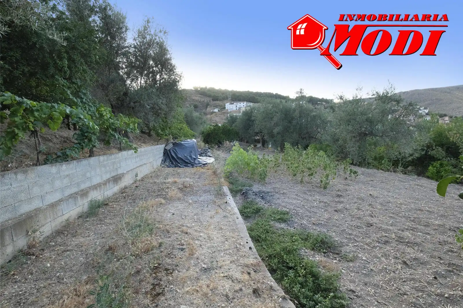Casa rústica amb jardí en venda a Villamena, imagen 31