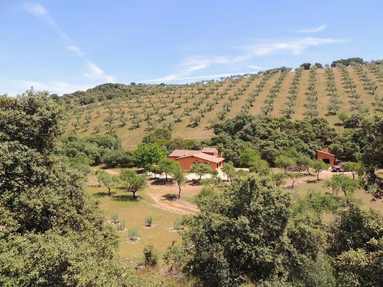 Finca rústica en venda a Belvís de la Jara