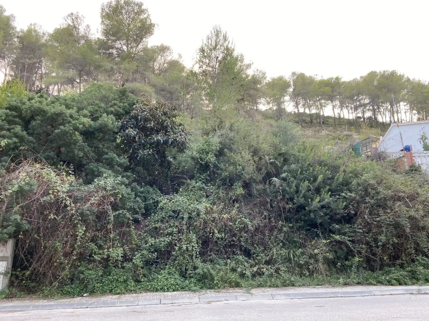 Rural land for sale in CL La ginesta Nº 7, imagen 2