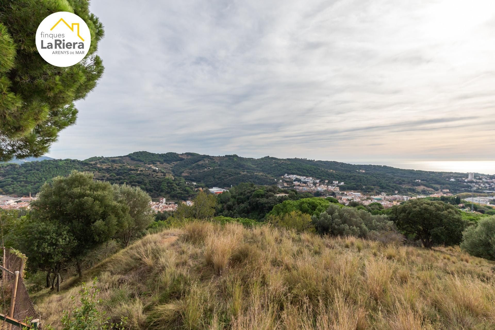 Casa o xalet en venda en Arenys de Mar amb Terrassa, Piscina i Alarma