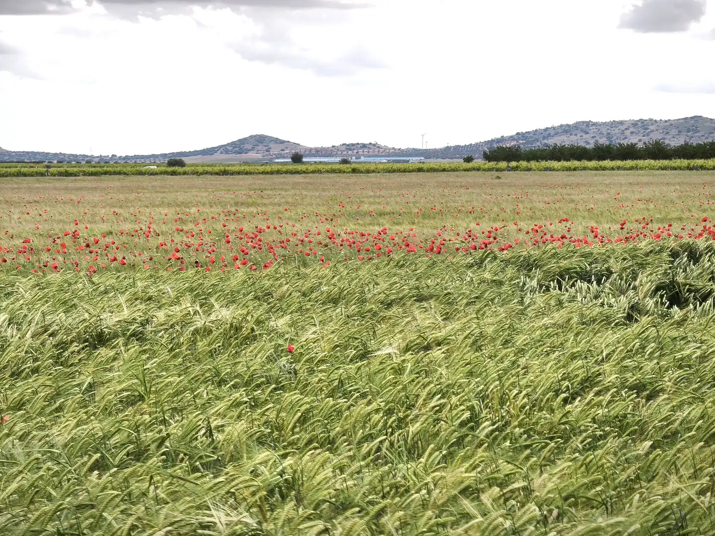 Terreno en venta en Madrid