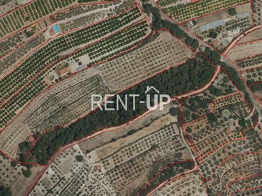 Terreno rustico in vendita a Vallada