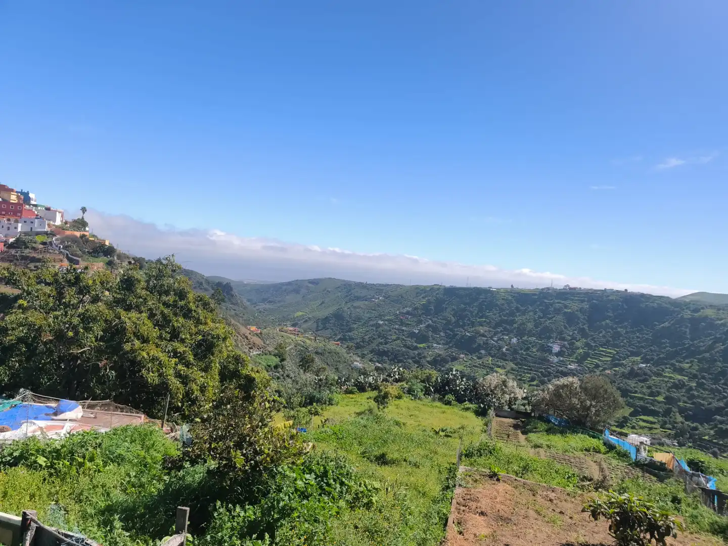 Terreny en venda en Santa Brígida