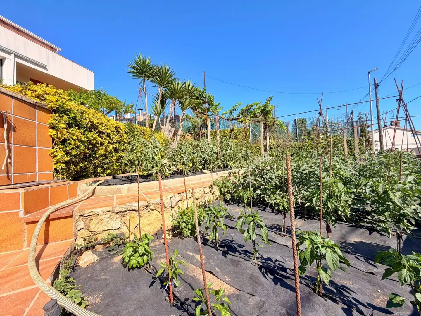 Jardí de Casa o xalet en venda en Canyelles amb Terrassa, Traster i Piscina