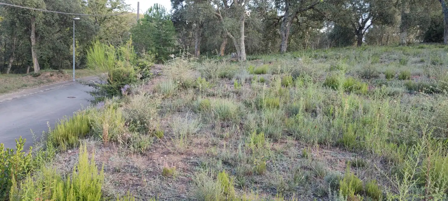 Wohnbaugrundstück zum Verkauf in Carrer del Baix Llobregat 805, imagen 5