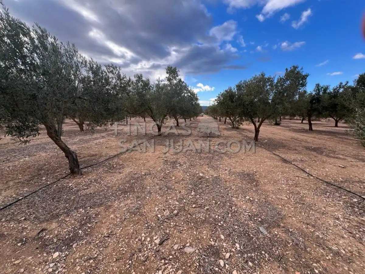 Country homes for sale in Biar