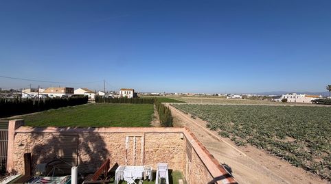 Foto 3 de Finca rústica en venta en Meliana, Valencia