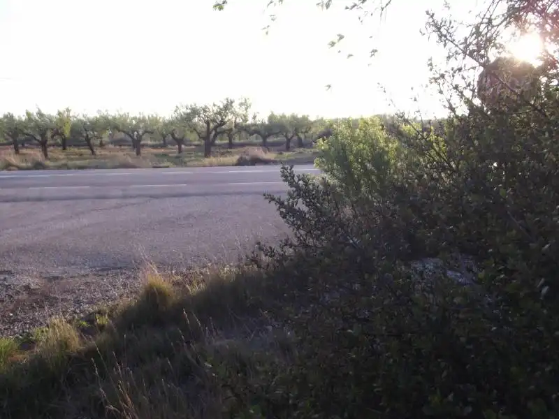 Terreny rústic en venda a PARCELA, imagen 2