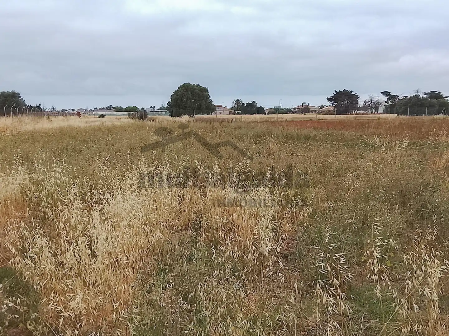 Terreni e lotti in vendita a Chipiona Norte, imagen 7