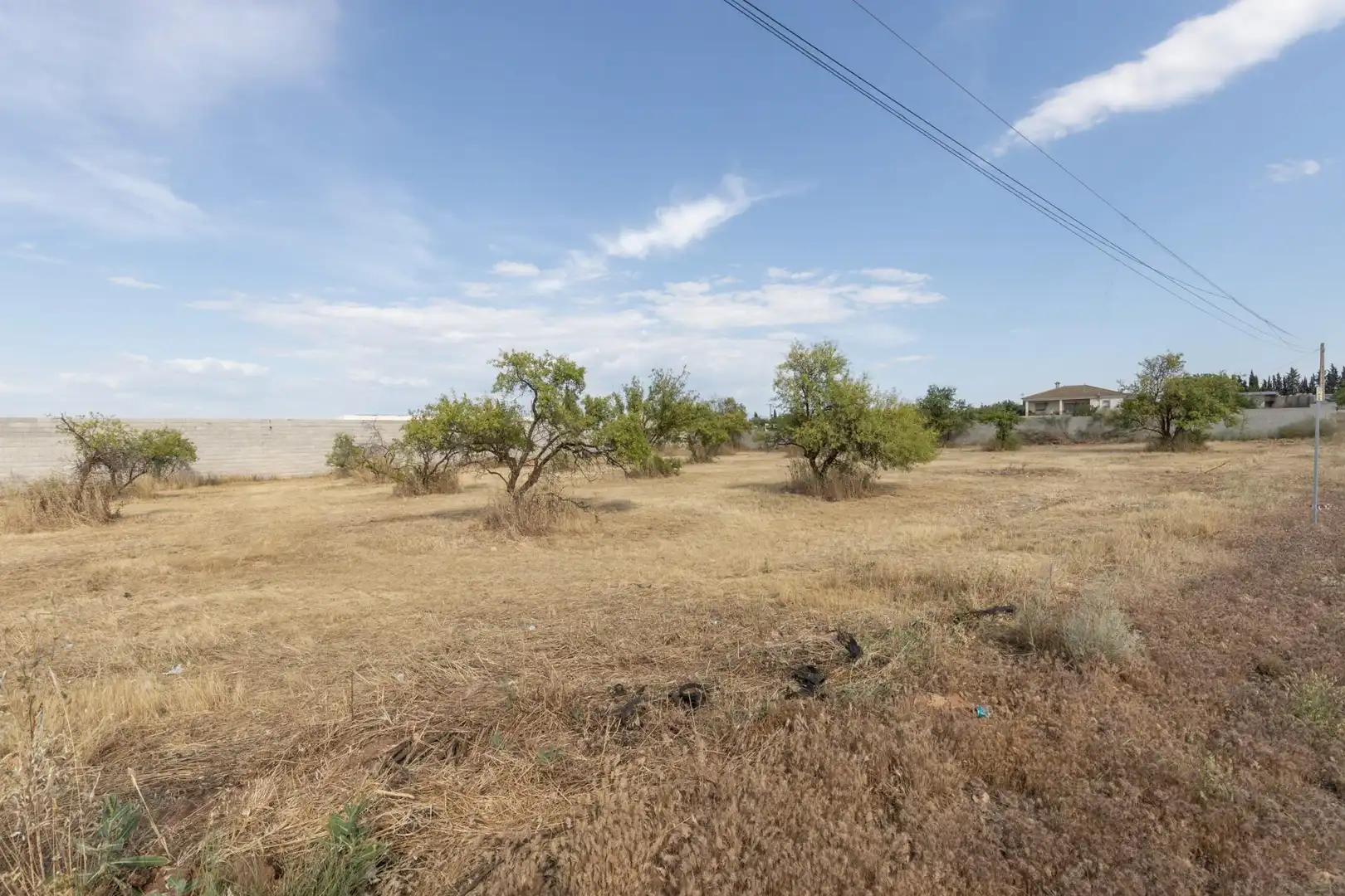 Rural land for sale in Moraleda de Zafayona, imagen 11