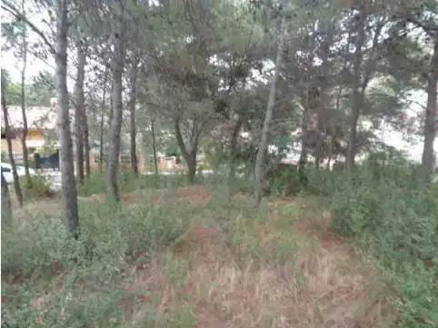 Wohnbaugrundstück zum Verkauf in Carrer el Timonet 383, imagen 7