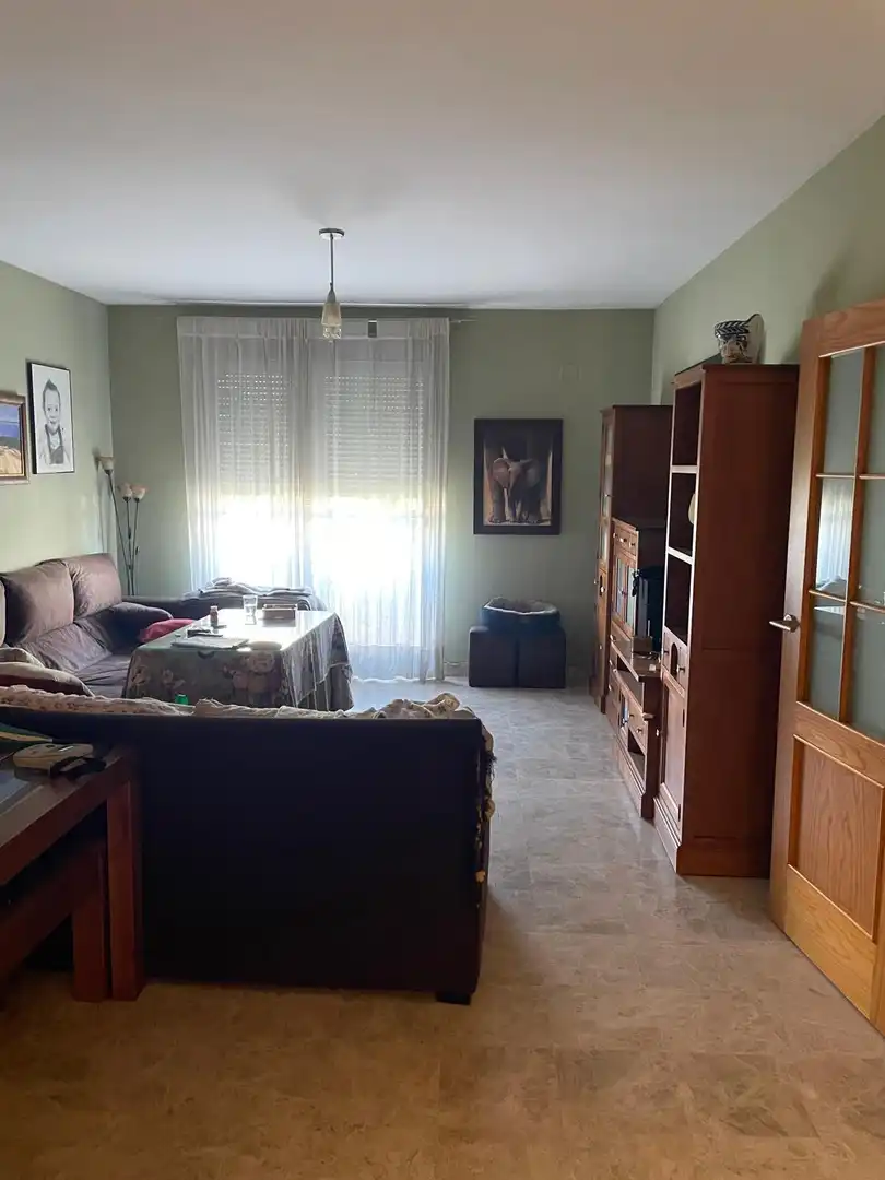 Sala d'estar de Dúplex en venda en Mairena del Alcor, Sevilla