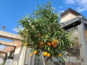 Vista exterior de Àtic en venda en Madrid amb Terrassa i Piscina comunitària