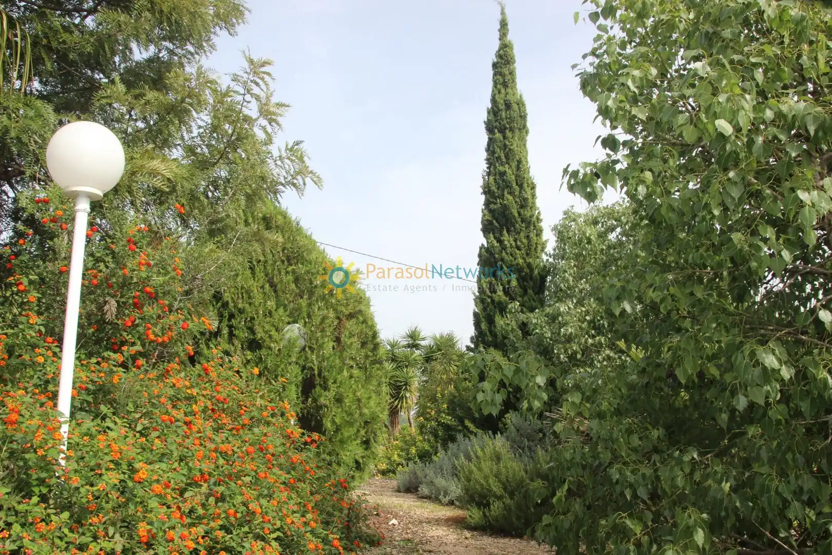 Jardín de Casa o chalet en venta en Llocnou de Sant Jeroni con Jardín privado, Terraza y Trastero