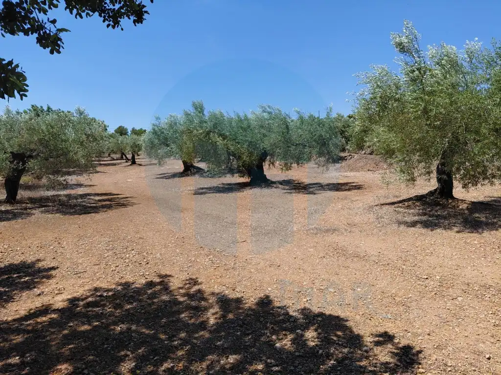 Casa rústica en venta en El Perelló, imagen 5