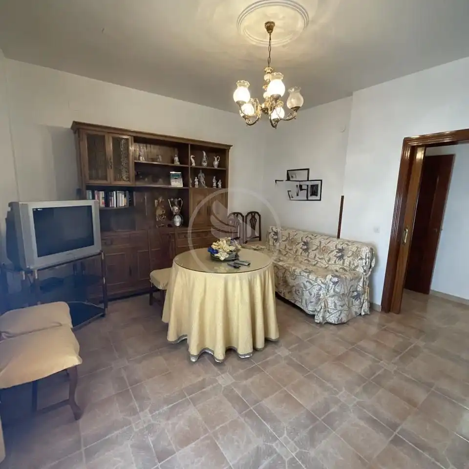 Sala d'estar de Casa o xalet en venda en Linares amb Aire condicionat i Terrassa
