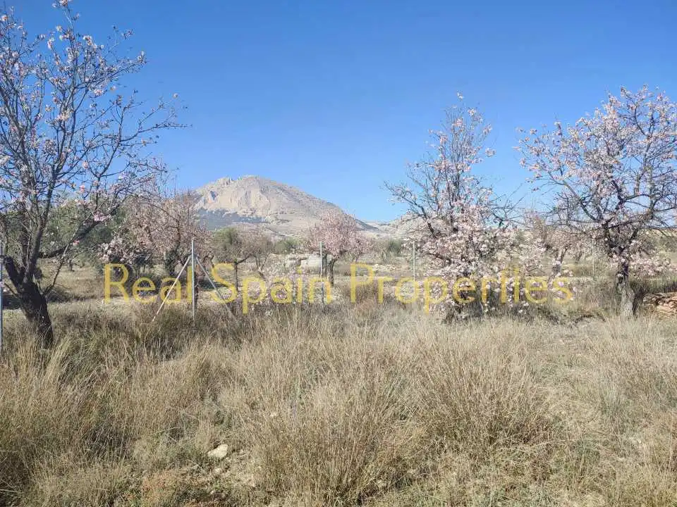 Terrenos y solares en venta en Vélez-Blanco, imagen 2