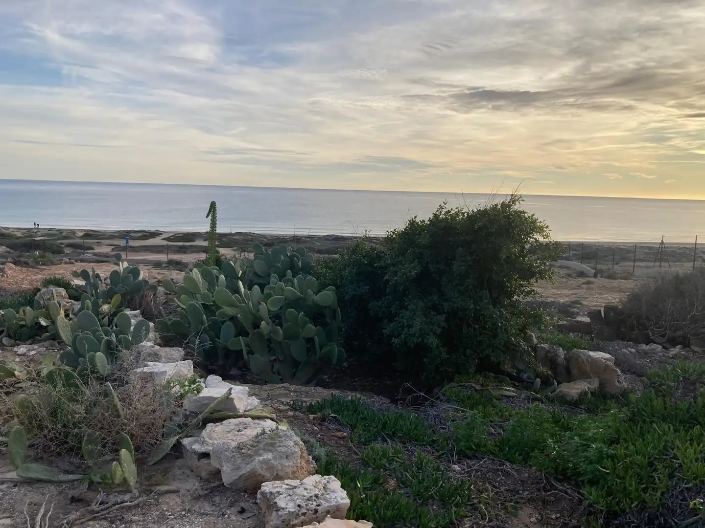 Casa o xalet en venda en Alicante / Alacant amb Jardí privat i Terrassa