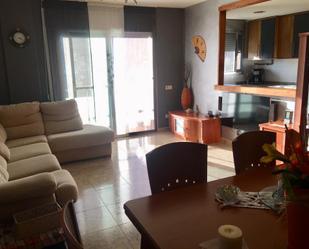 Sala d'estar de Dúplex en venda en Puig-reig