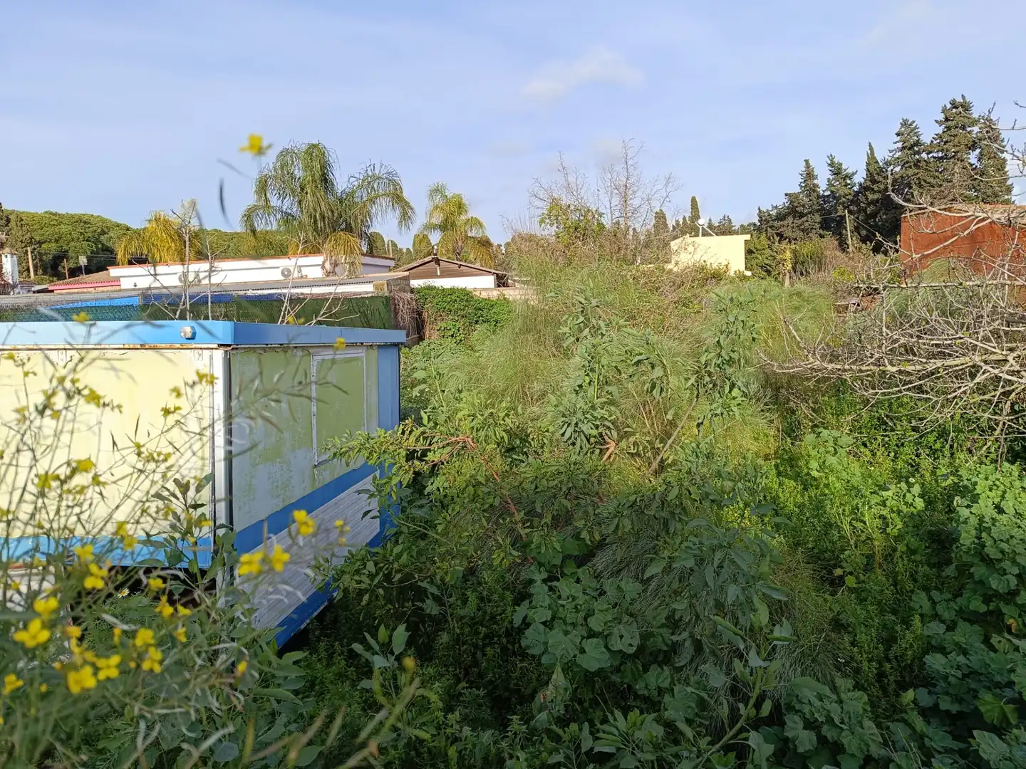 Rural land for sale in Carretera el Portal 21, imagen 2