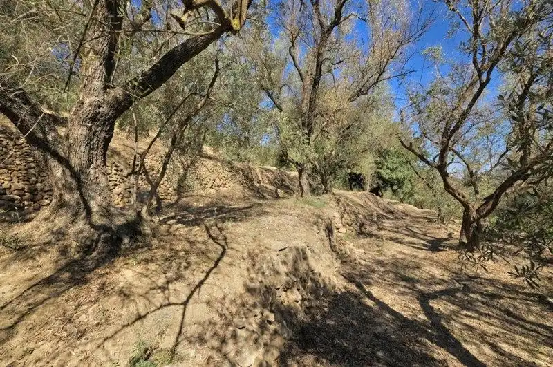 Terreno rustico in vendita a El Pinar, imagen 15