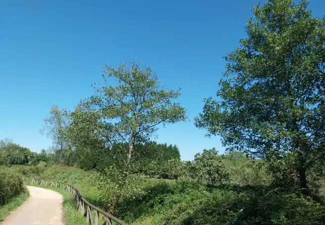 Terrenos y solares en venta en BARNIELLA, imagen 3