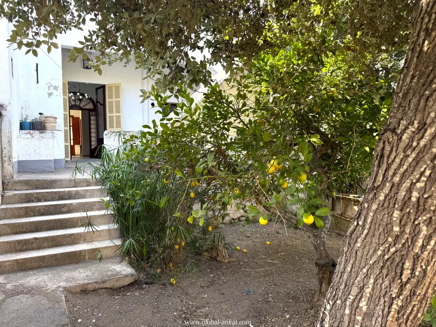 Planta baixa en venda a Felanitx Poble