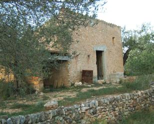 Exterior view of Country house for sale in Xerta