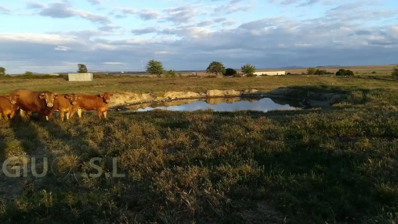 Terreni e lotti in vendita a Valdesalor - Rincón de Ballesteros, imagen 3