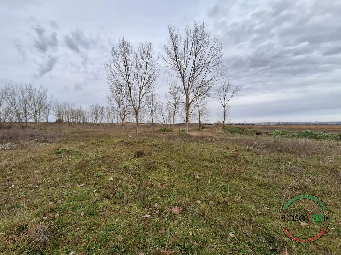 Nave industrial en venta en Sahagún