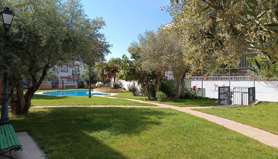 Foto 1 de Dúplex en venda a La Carolina, Jaén