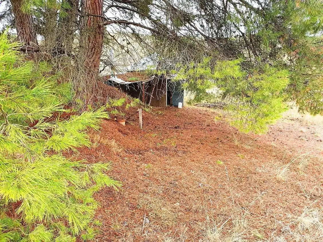 Terreno en venta en Maluenda