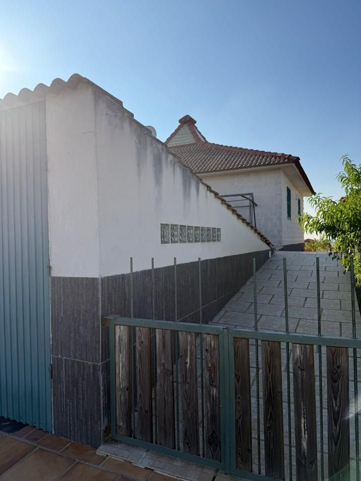 Exterior view of Country house for sale in Villafranca de los Barros  with Private garden and Terrace
