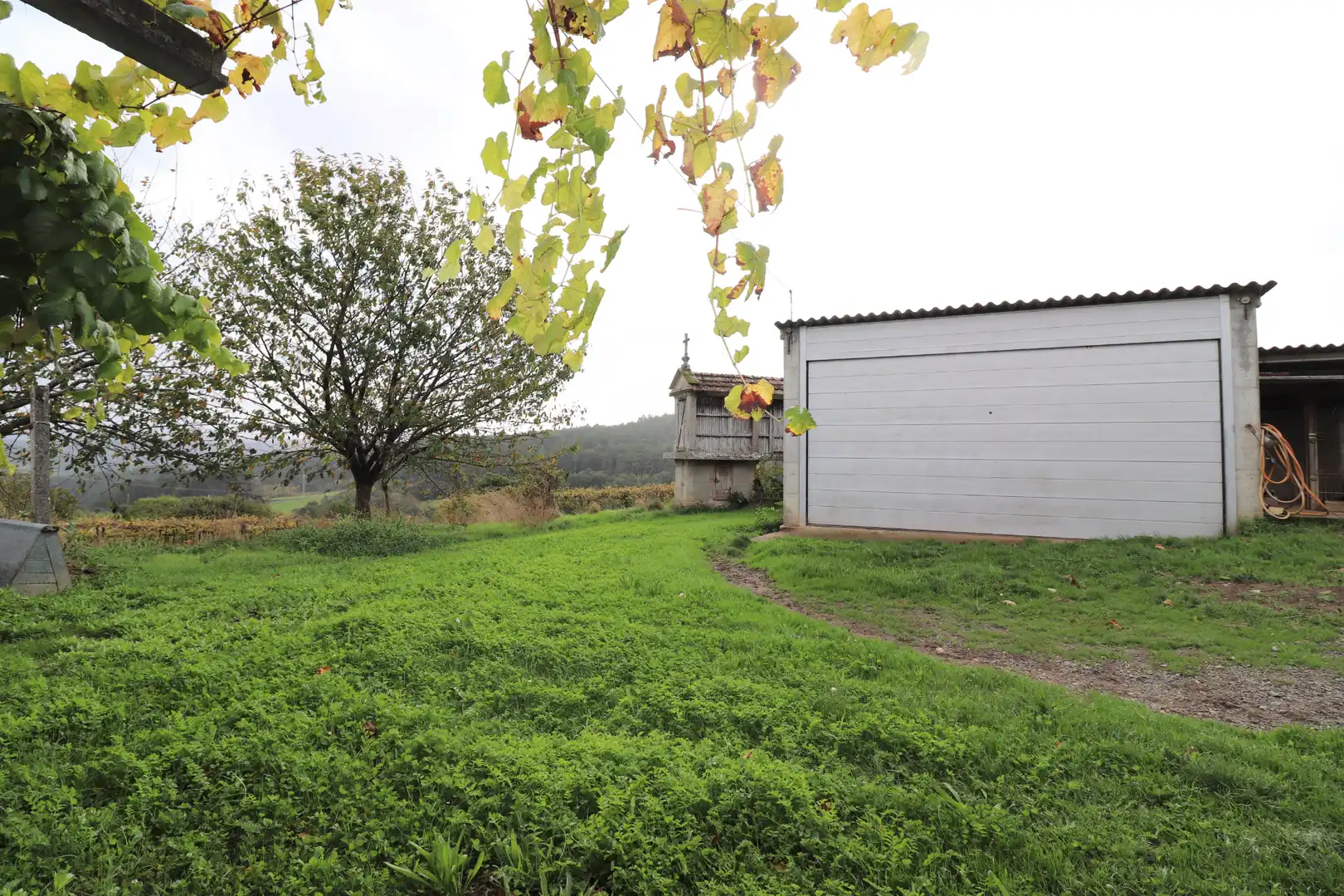 Maison avec jardin à vendre à CP-2017 14, imagen 14