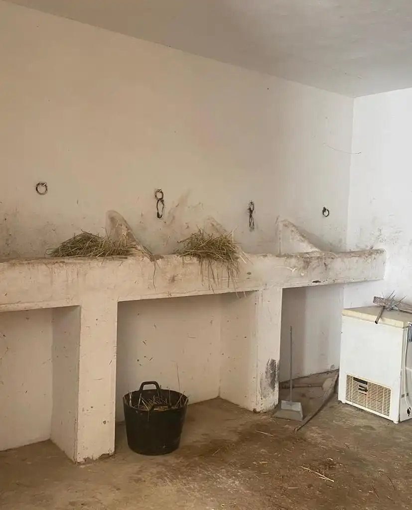 Maison à louer à Avenida de la Canaliega 162, imagen 10